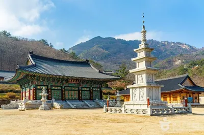 대흥사(단양)