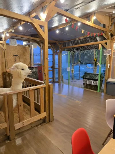 주파크