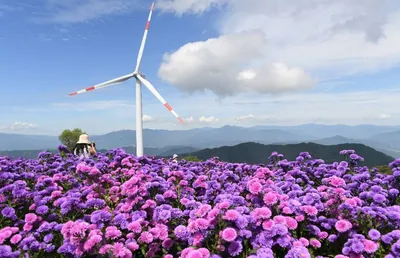 감악산 꽃별 여행