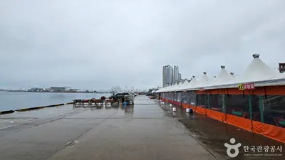 속초항