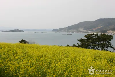 남파랑길(여수 구간)
