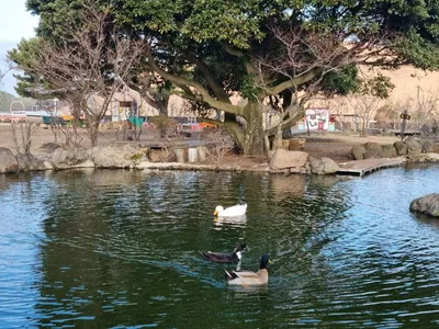 새별프렌즈