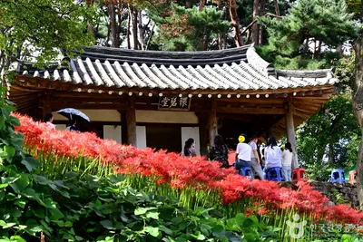 환벽당