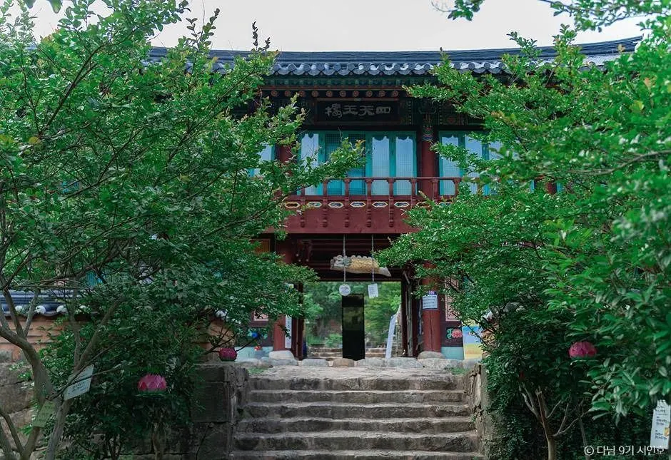 대원사(보성)