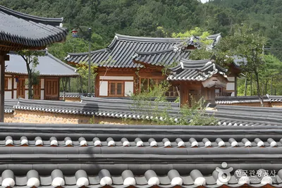 신라불교초전지
