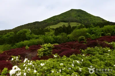 만연산