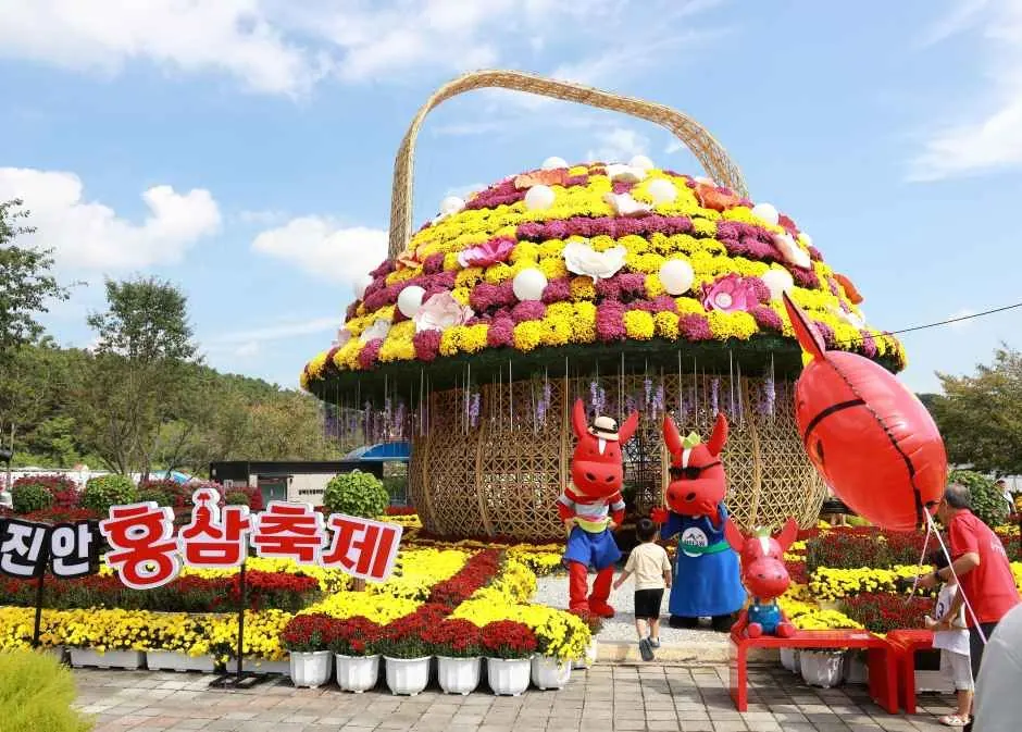 진안홍삼축제