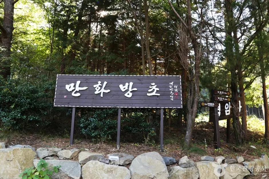 만화방초
