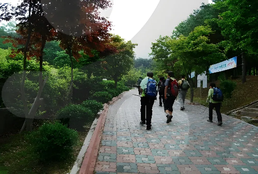 너무 아름다운 뷰! 뷰! 뷰! 멋진 전망만 쏙 골라 놓은 코스