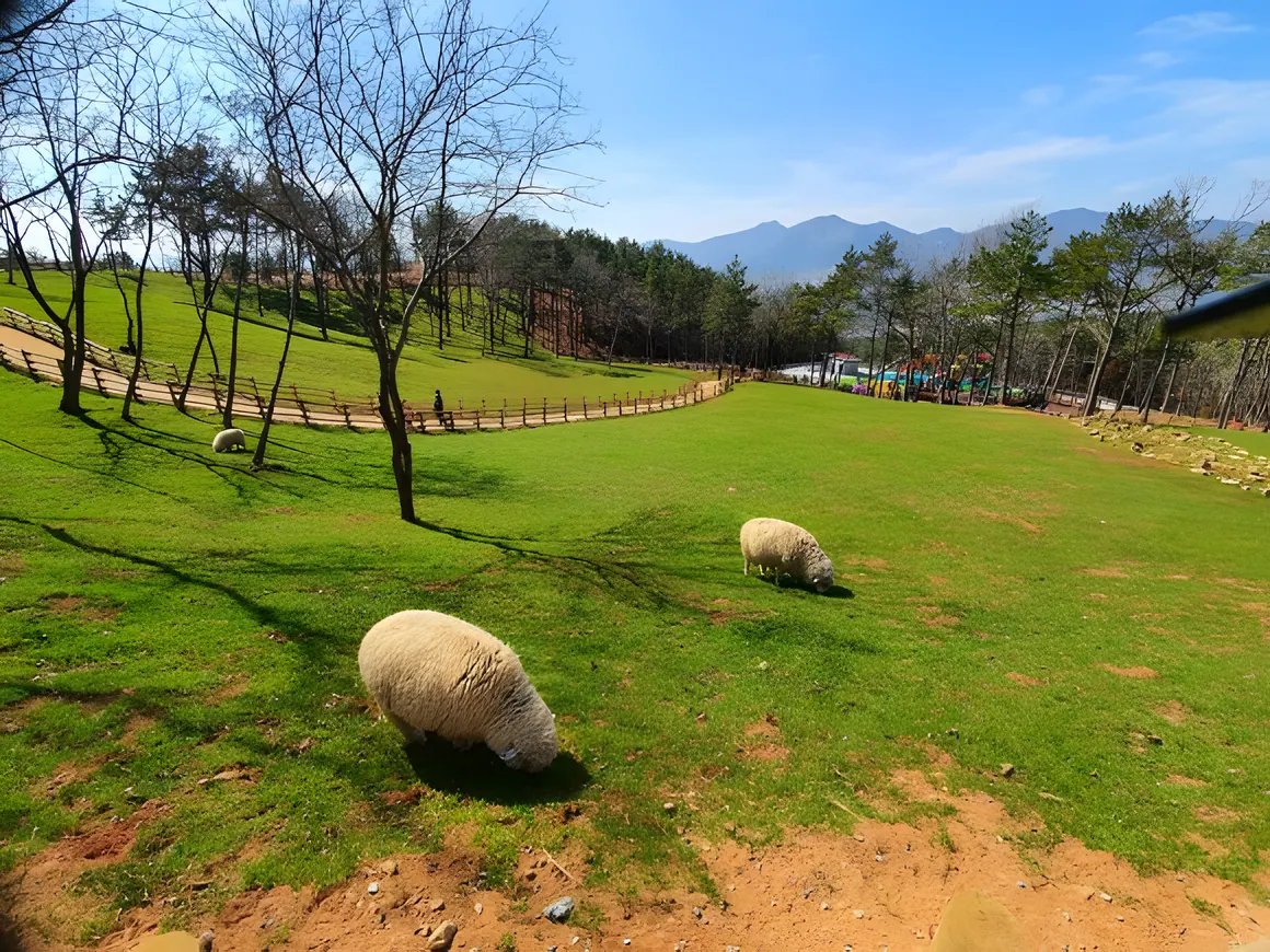 거제도 일상 회복 청춘 투어, 지친 나를 위로하고 치유하는 여행