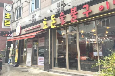 초돈