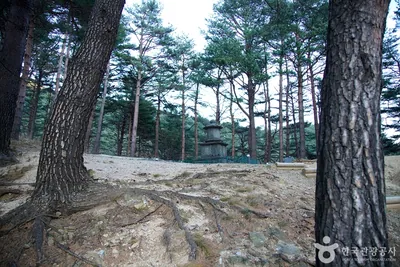 양양 진전사지 도의선사탑
