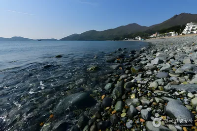 학동흑진주 몽돌해변