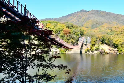 오늘, 지금, 여기! 가장 핫한 DMZ 스팟으로 떠나보자!