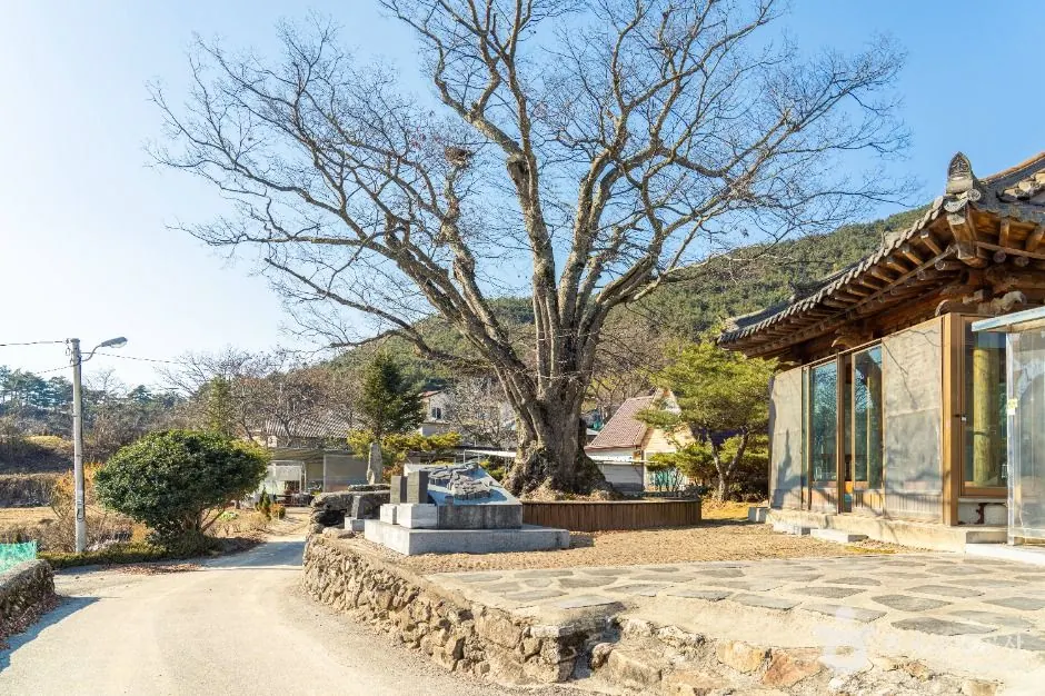 노치마을