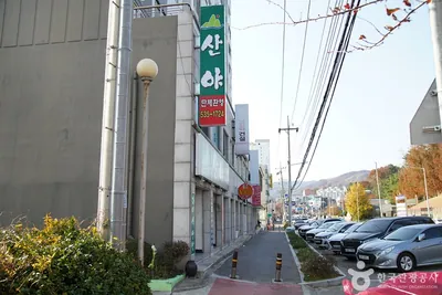 산야