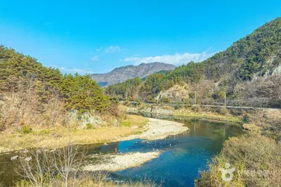 금강
