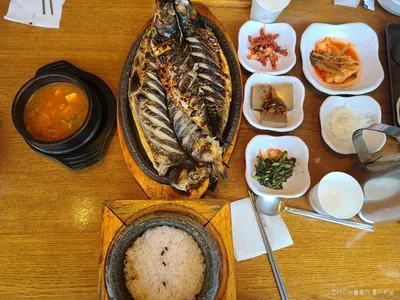 멸치부터 고래까지