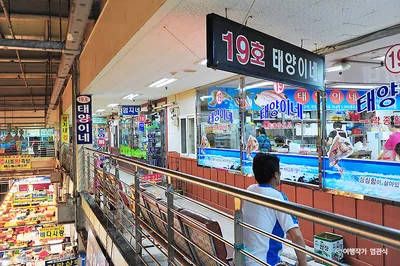 태양이네