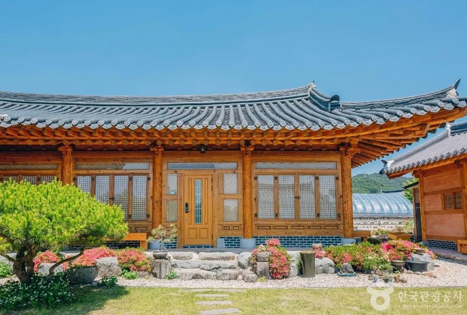 별바라기집