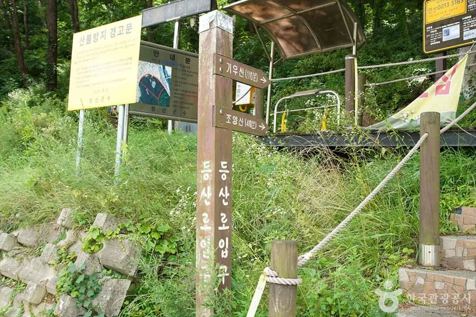 조양산(정선)