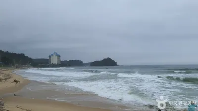 대진1리해변