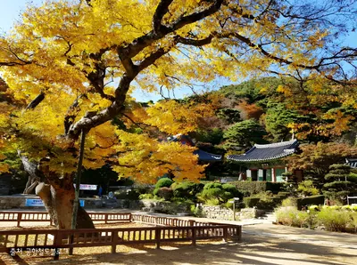 강화 전등사