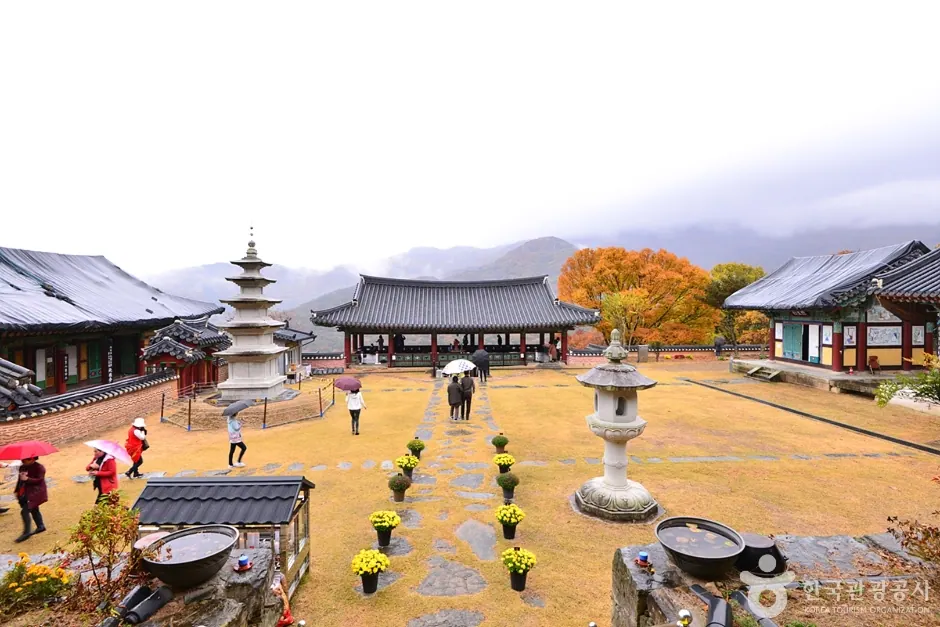 원효사(광주)