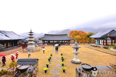 원효사(광주)